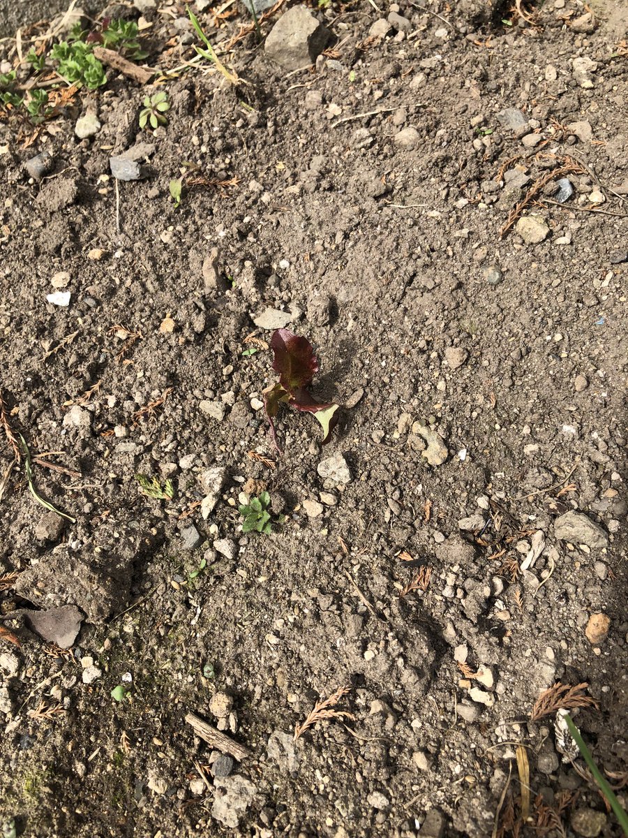 冷水＠Toxic Smoker since2000 tweet media