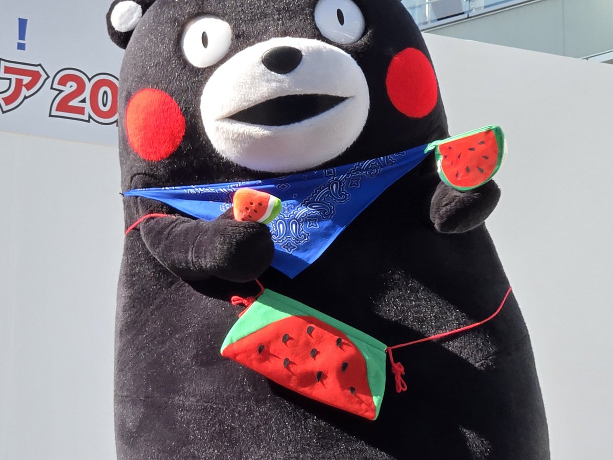 mocha_mocha11's tweet image. 熊本はスイカの生産日本一だモン
今が旬の🍉食べてはいよ

愛知から出かけよう！
日本各地の名産観光巡りフェア2026
#FDA