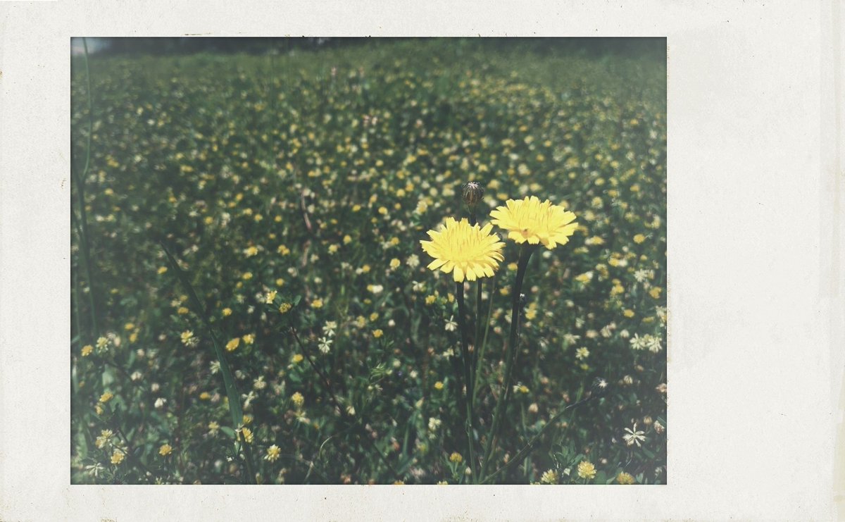 無題 (@untitled_days) on Twitter photo 