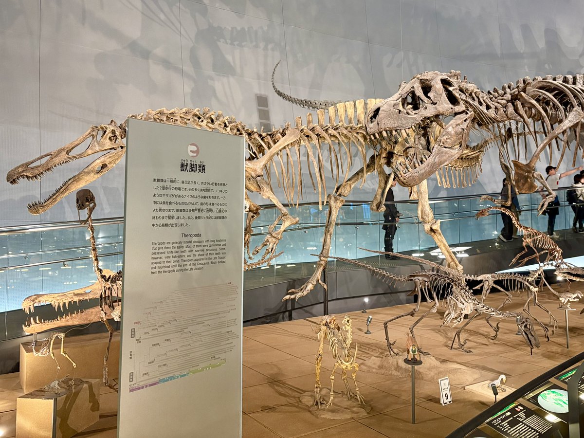 味醂(Shiro) tweet media