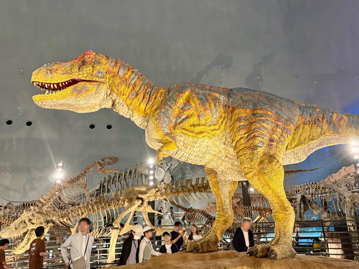 味醂(Shiro) tweet media