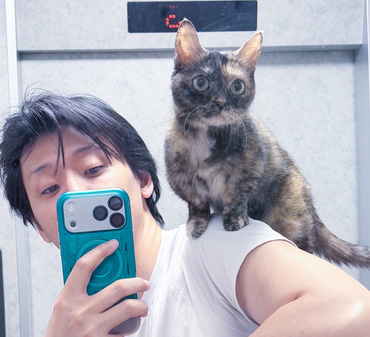 月永一朗 tweet media