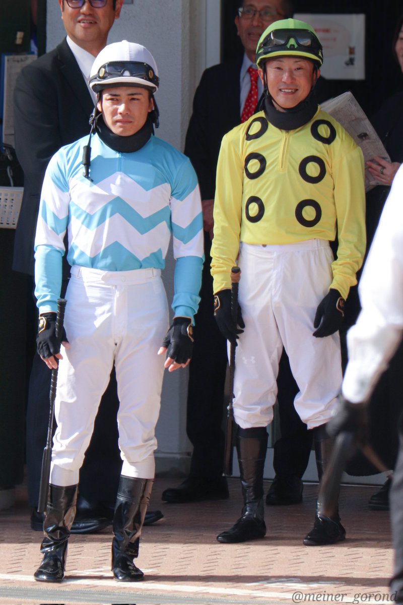 マイネルごろん tweet media