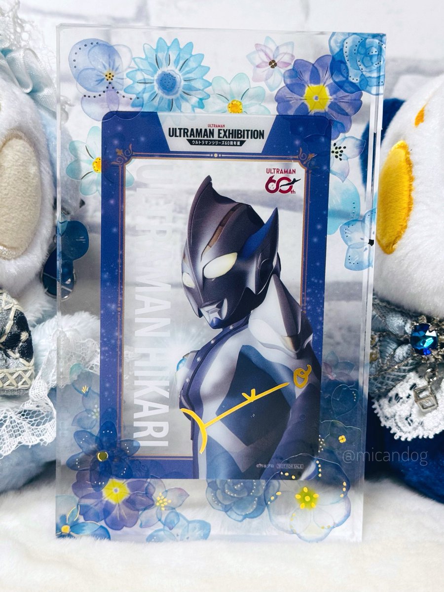 みかんいぬ tweet media