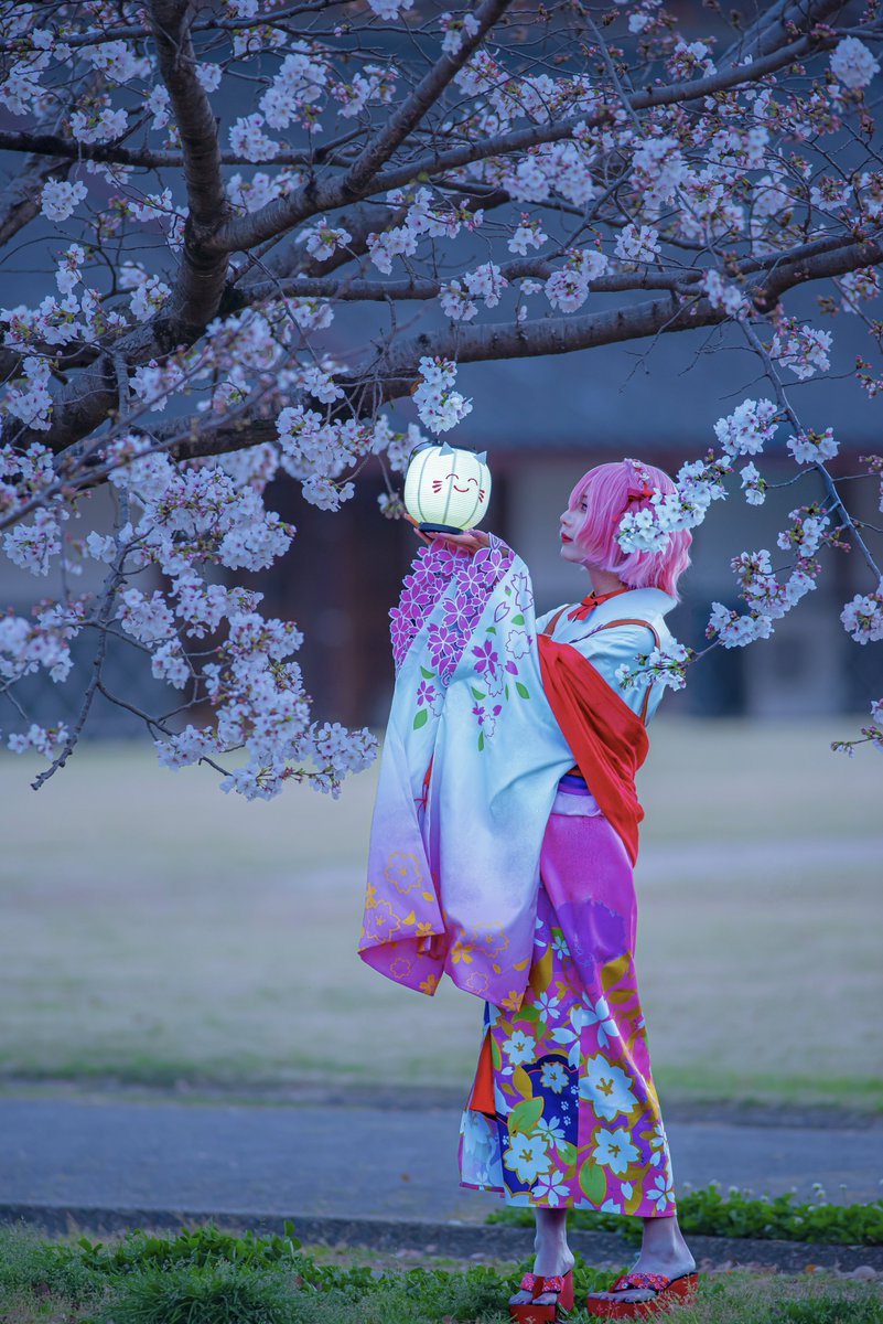 ❅わんこ系ぬこ❅ tweet media