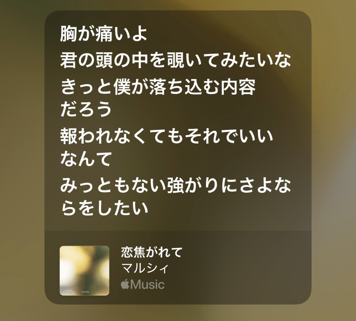 🌸　ビバラSHISHAMO tweet media