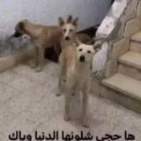 ‏ AAMER 𝕏 tweet media