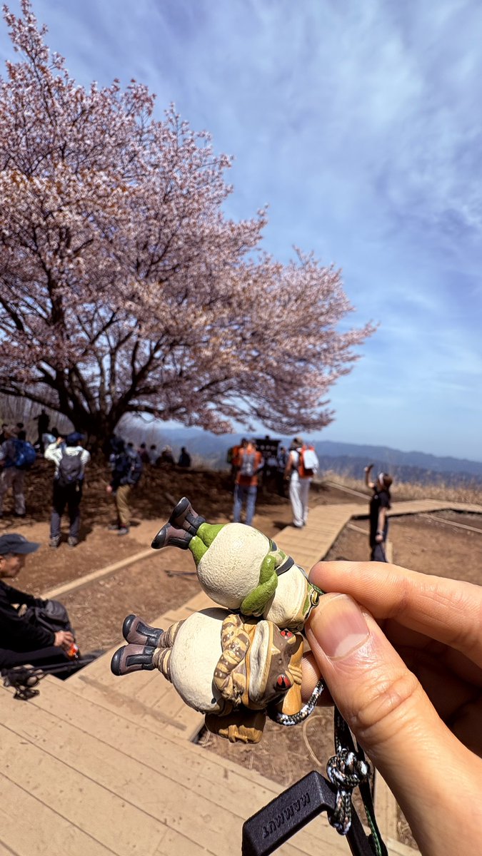 ネコまじん tweet media