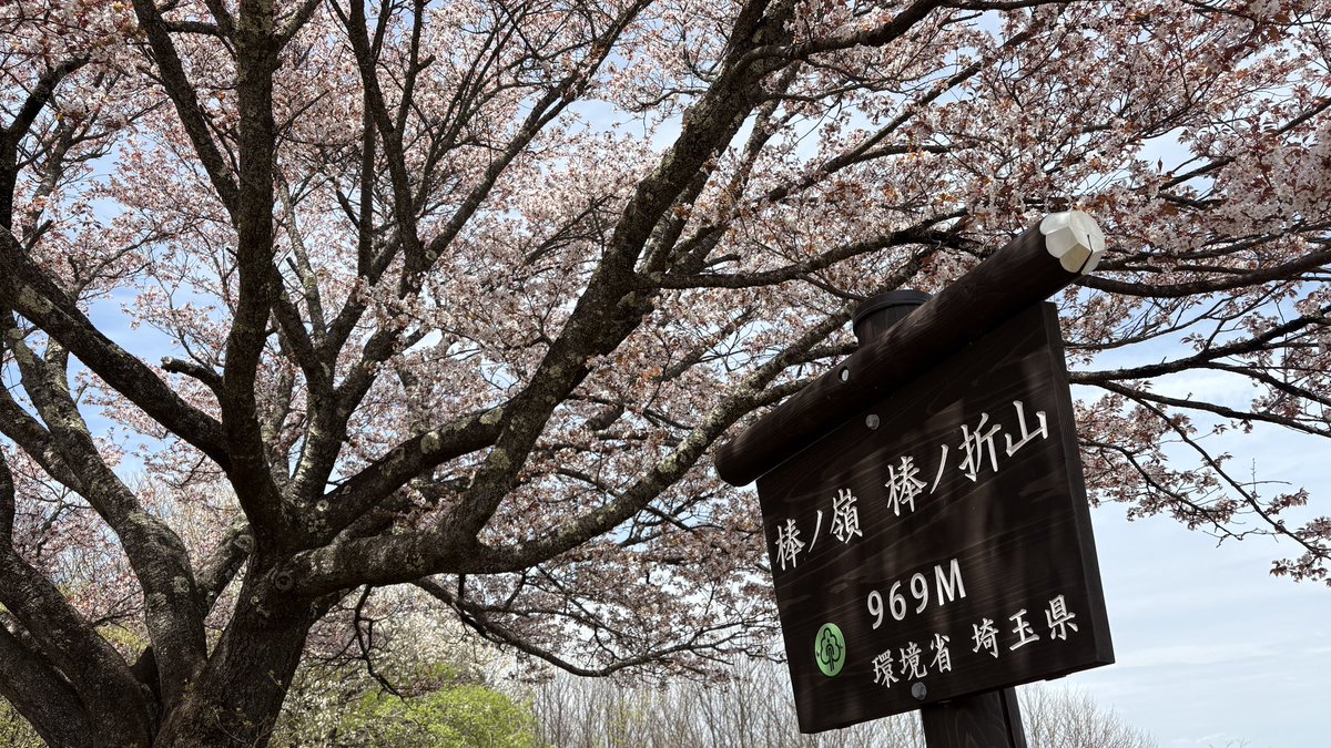 ネコまじん tweet media