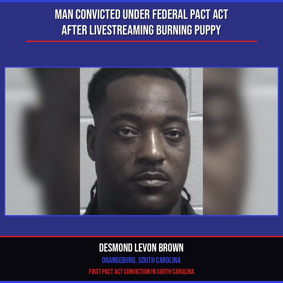 Paul Mueller tweet media