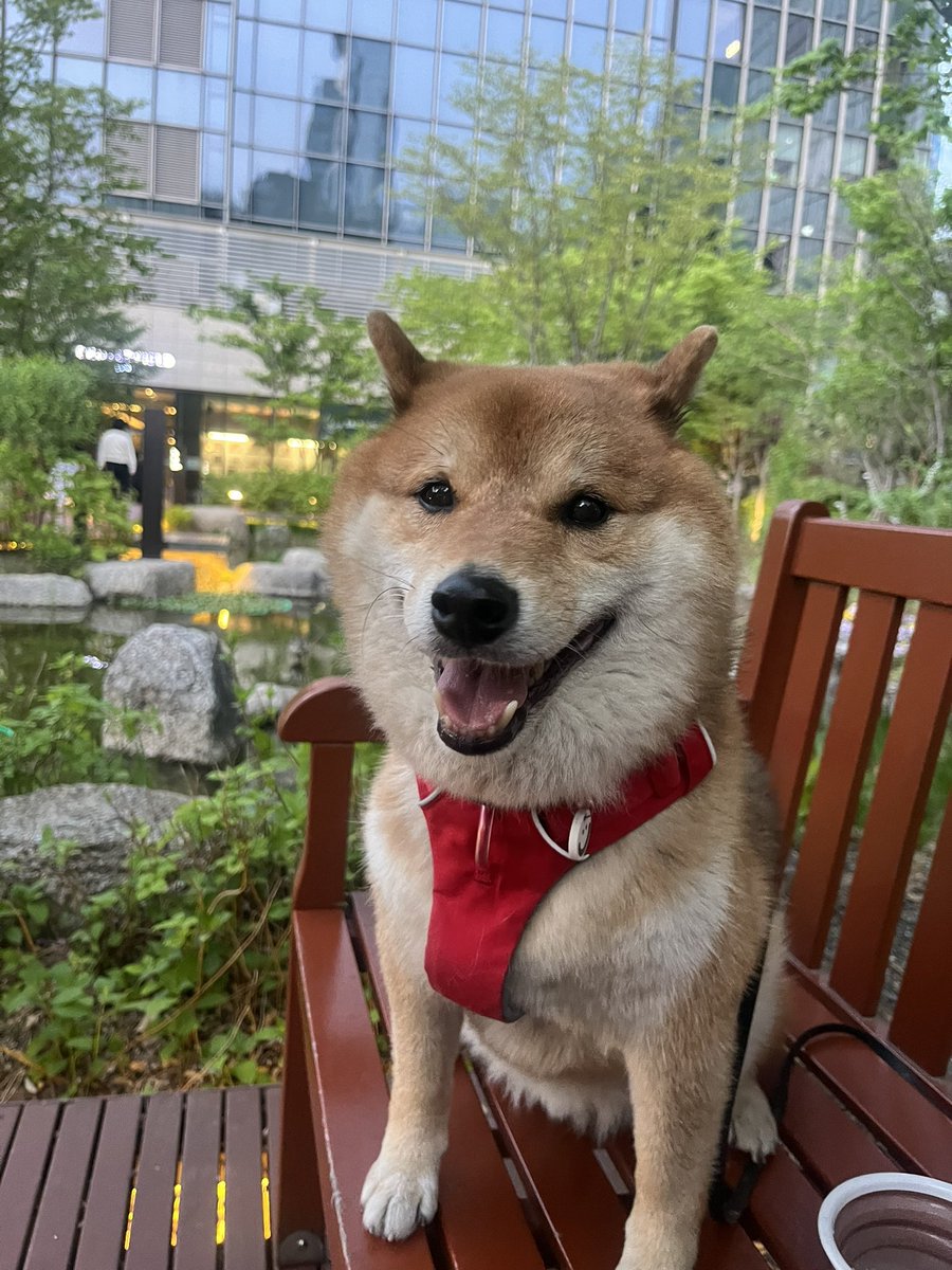 지나가는 꼬마가 방금 늑구다! 라고 함 ㅋ