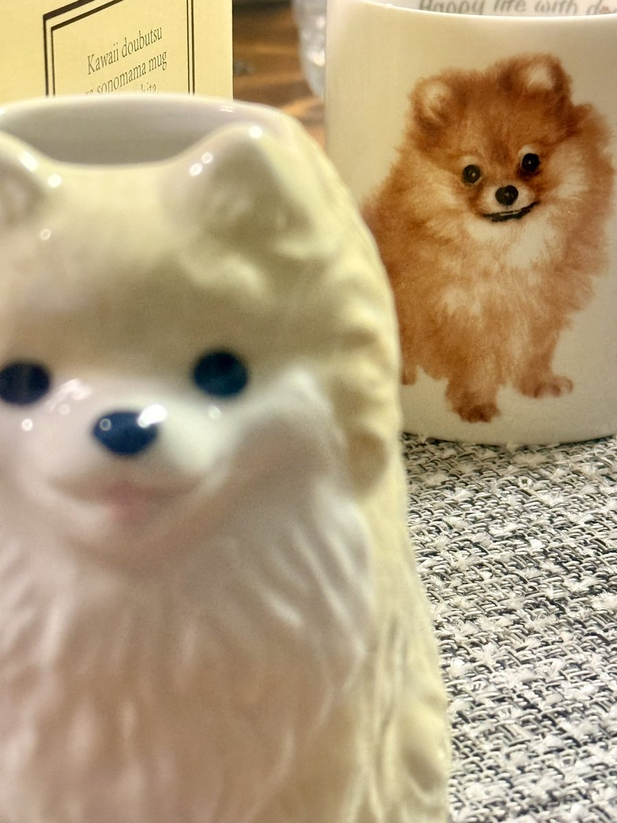 おもしろ食器で有名なサンアートさんからポメラニアン立体マグカップが出ました。ええもん買うたわ！