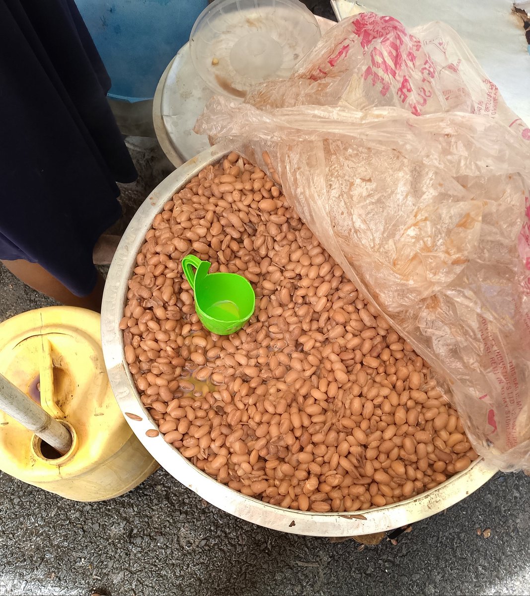 Robie™ tweet media