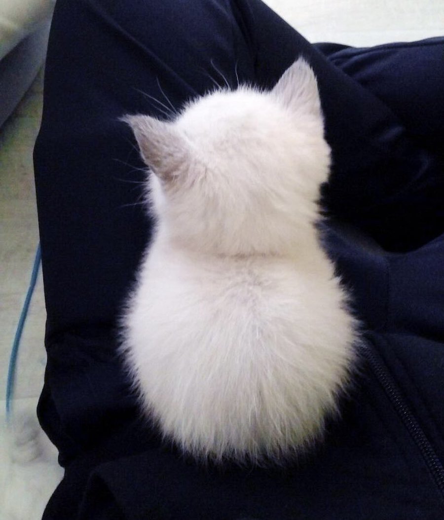 ㅇㄷ이 tweet media