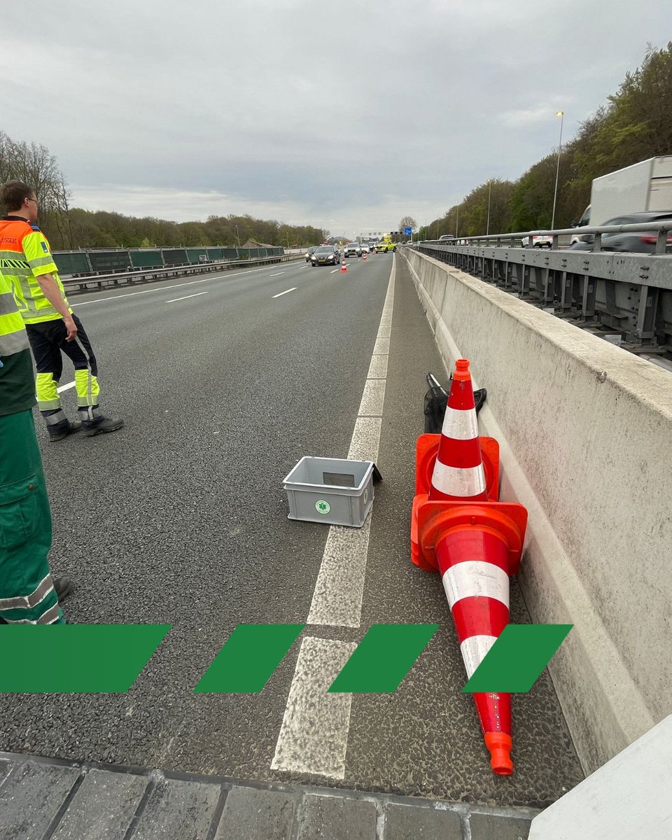 Dierenambulance Amsterdam tweet media