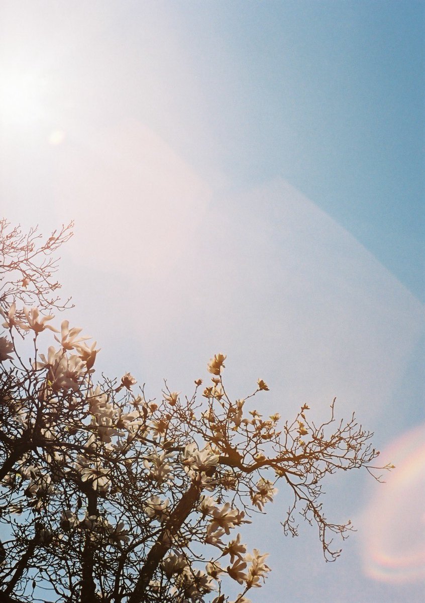 小井里 ゆか tweet media