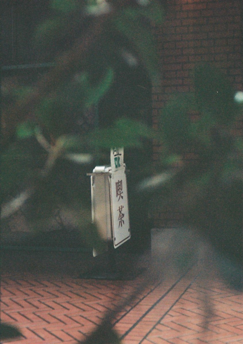 小井里 ゆか tweet media