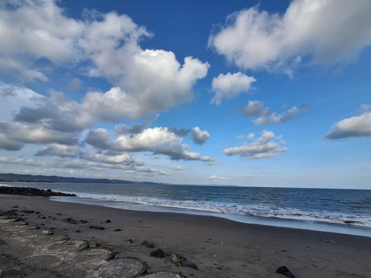 utom_eggs tweet media