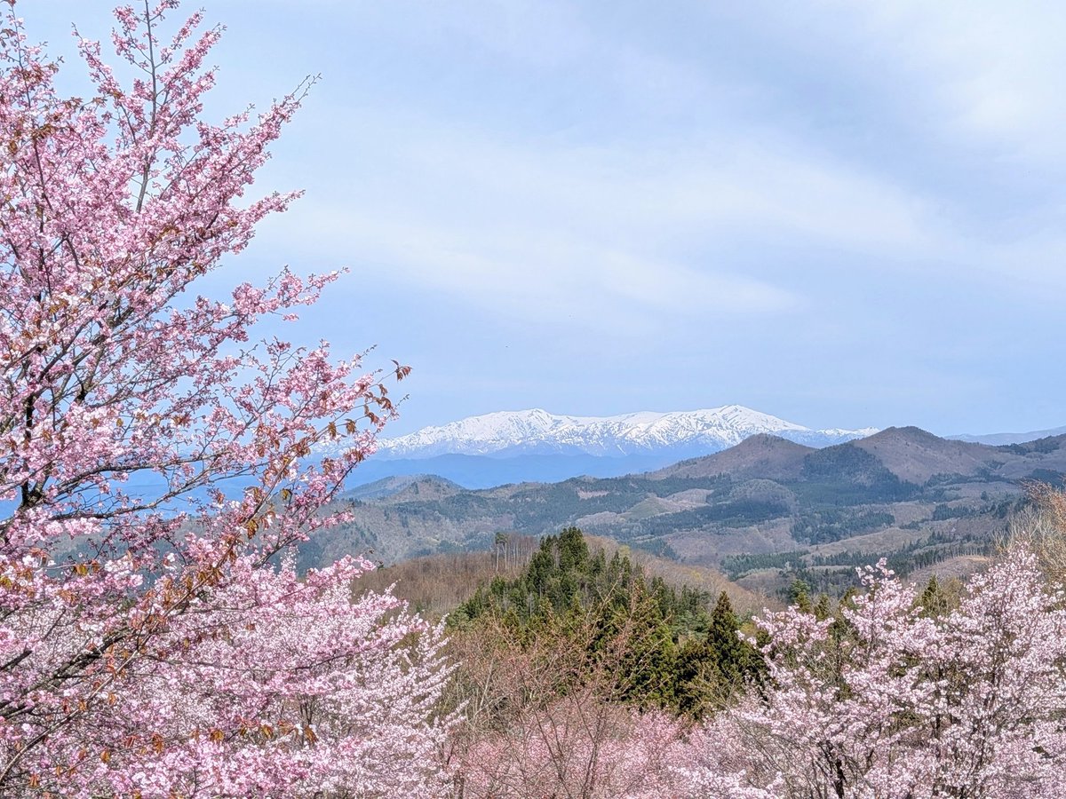 夏福/イラストレーター tweet media