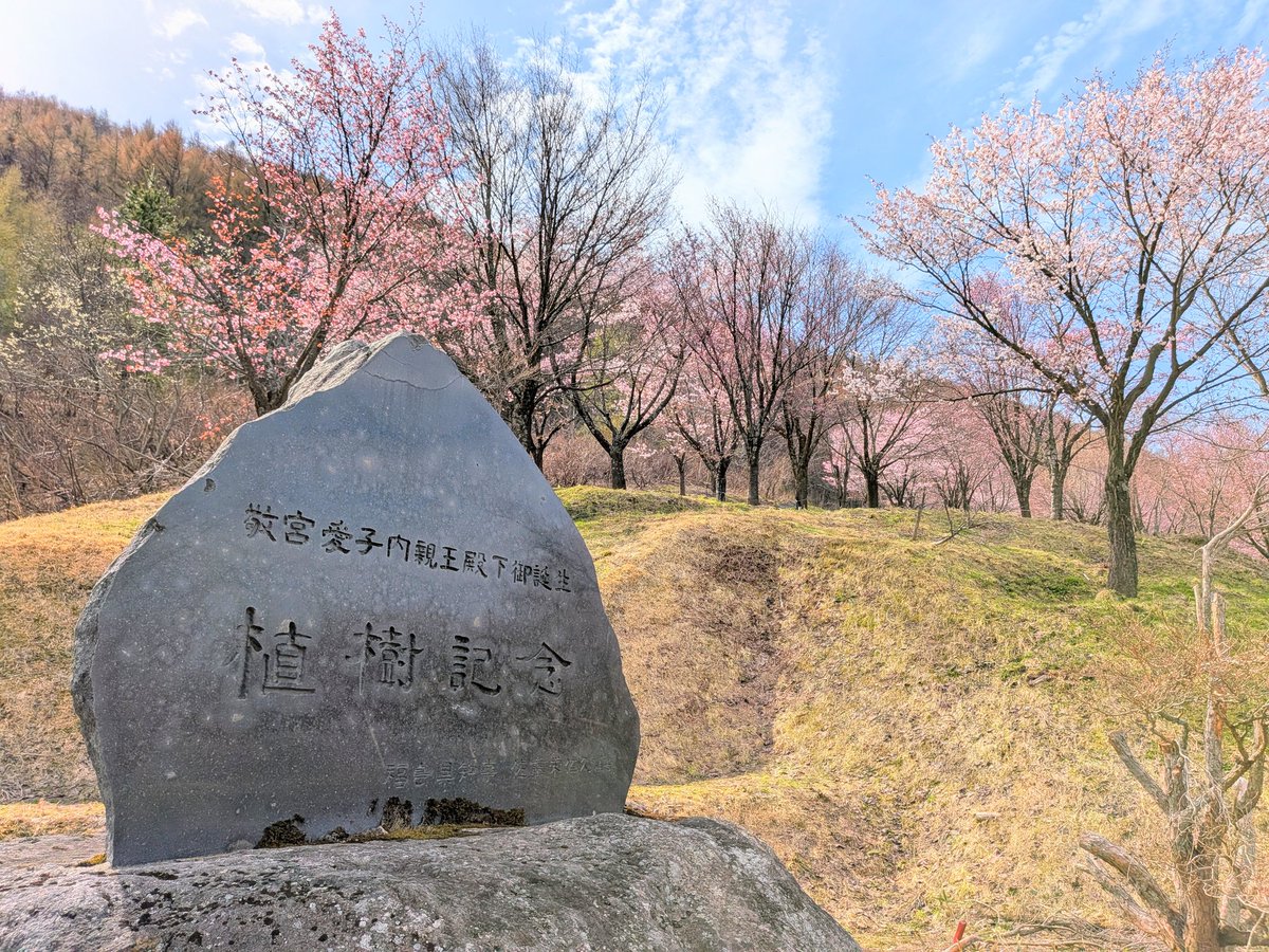 夏福/イラストレーター tweet media