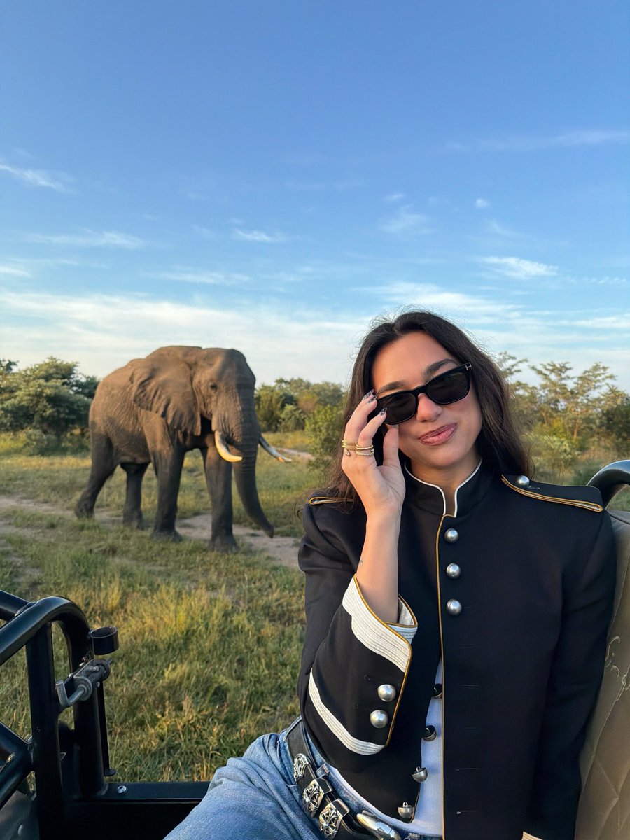 dua lipa pics tweet media