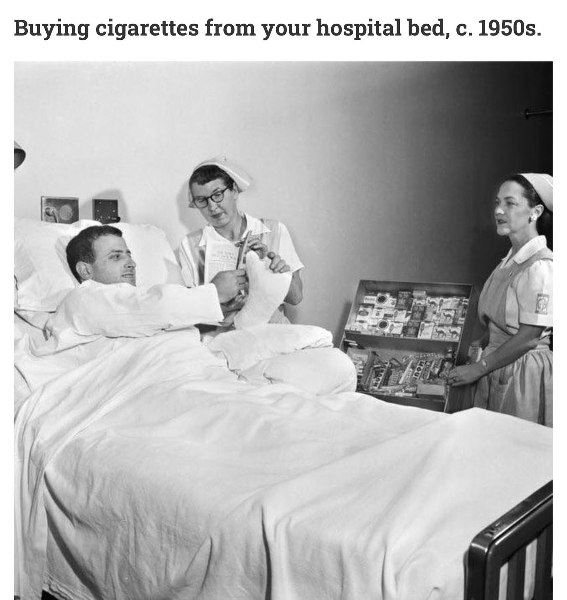 VigilantVet 🇺🇸 tweet media