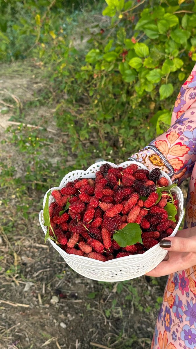 تهاني tweet media