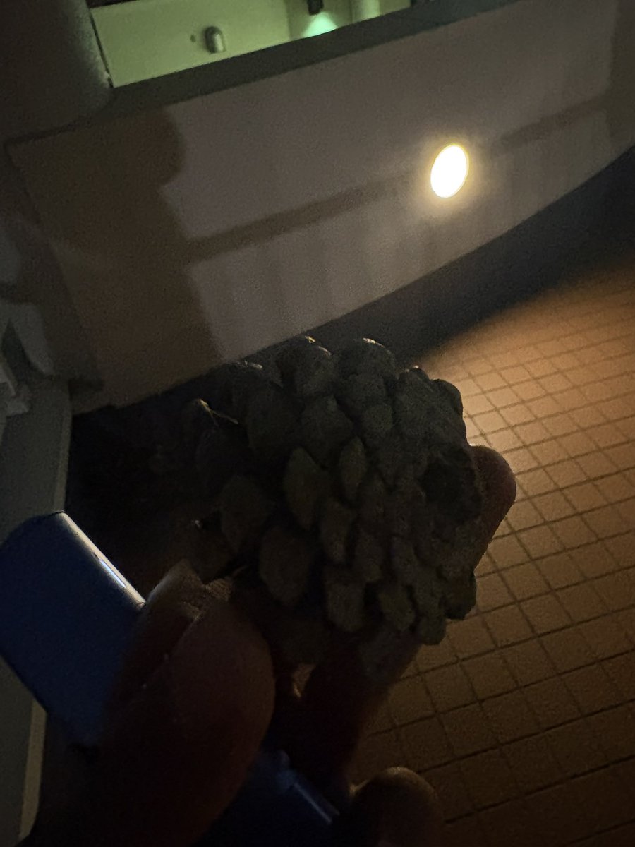 しゅう tweet media