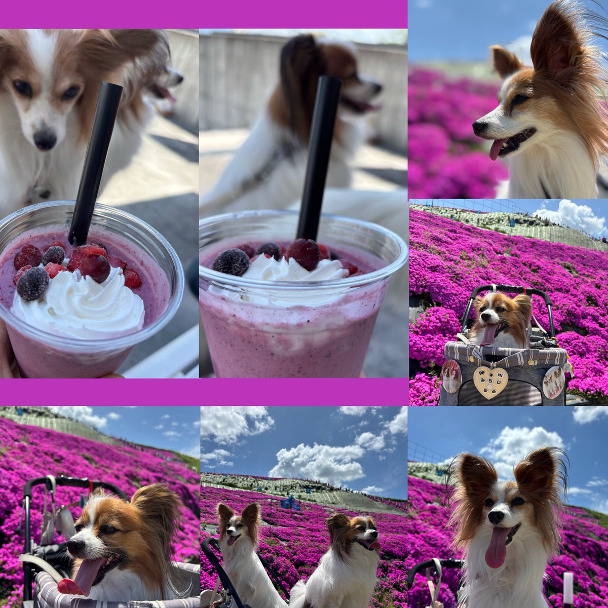 ♡yuko♡ tweet media