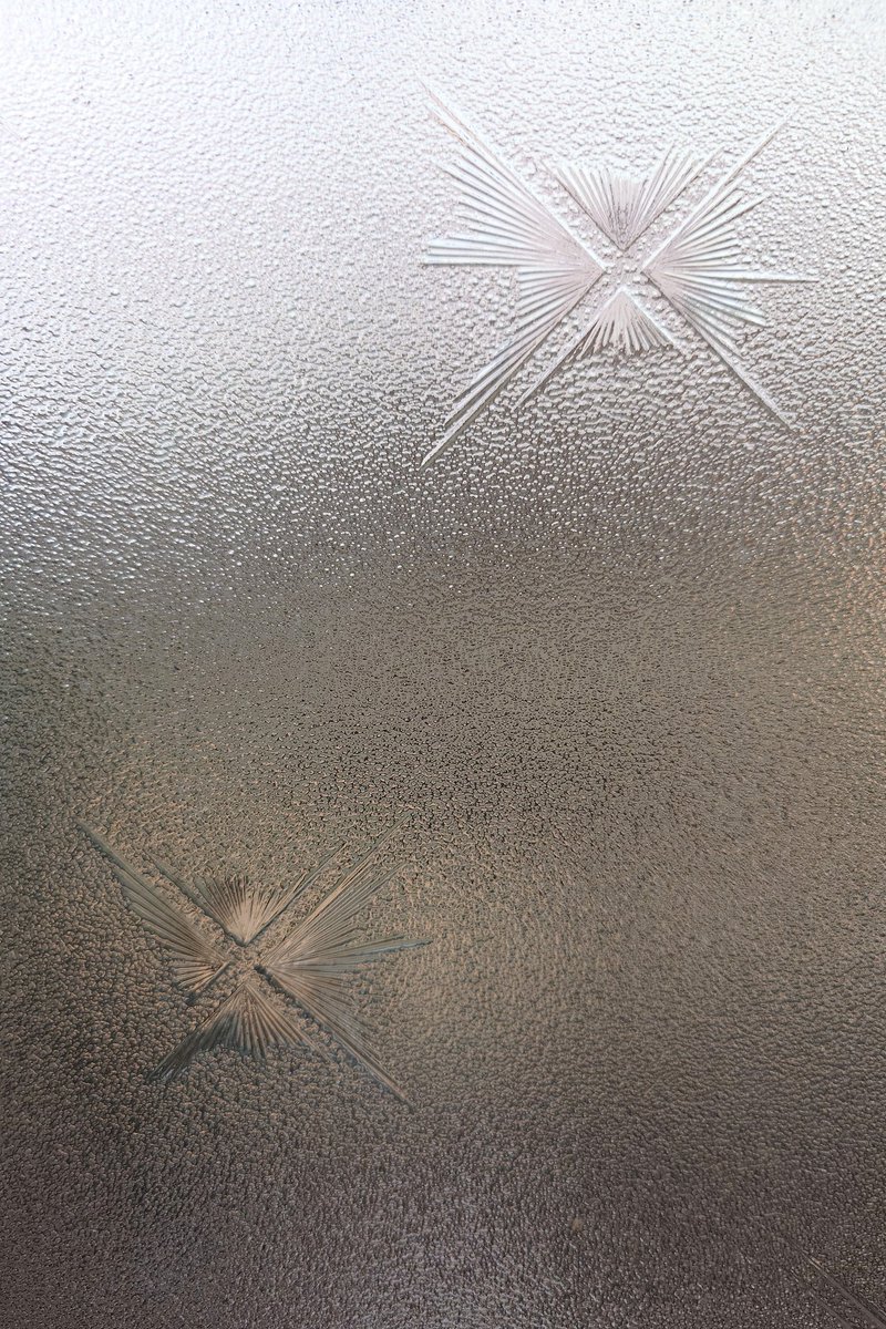 ニョロニョロ🌱☘️🍀 tweet media