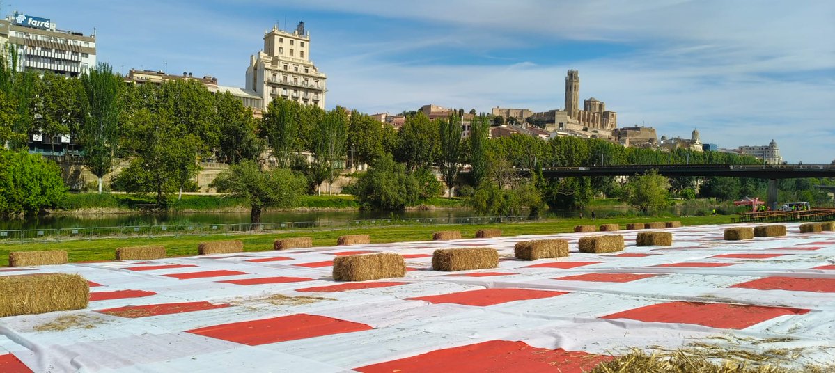 Lleida Turisme tweet media