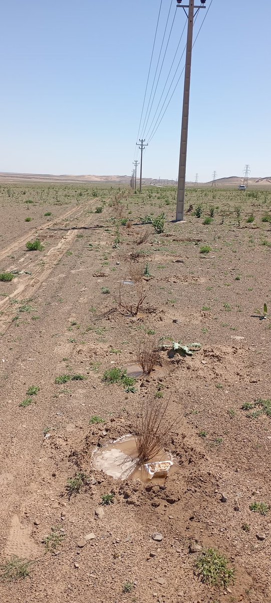 دفتر مطبوعاتی مقام ولایت هرات tweet media