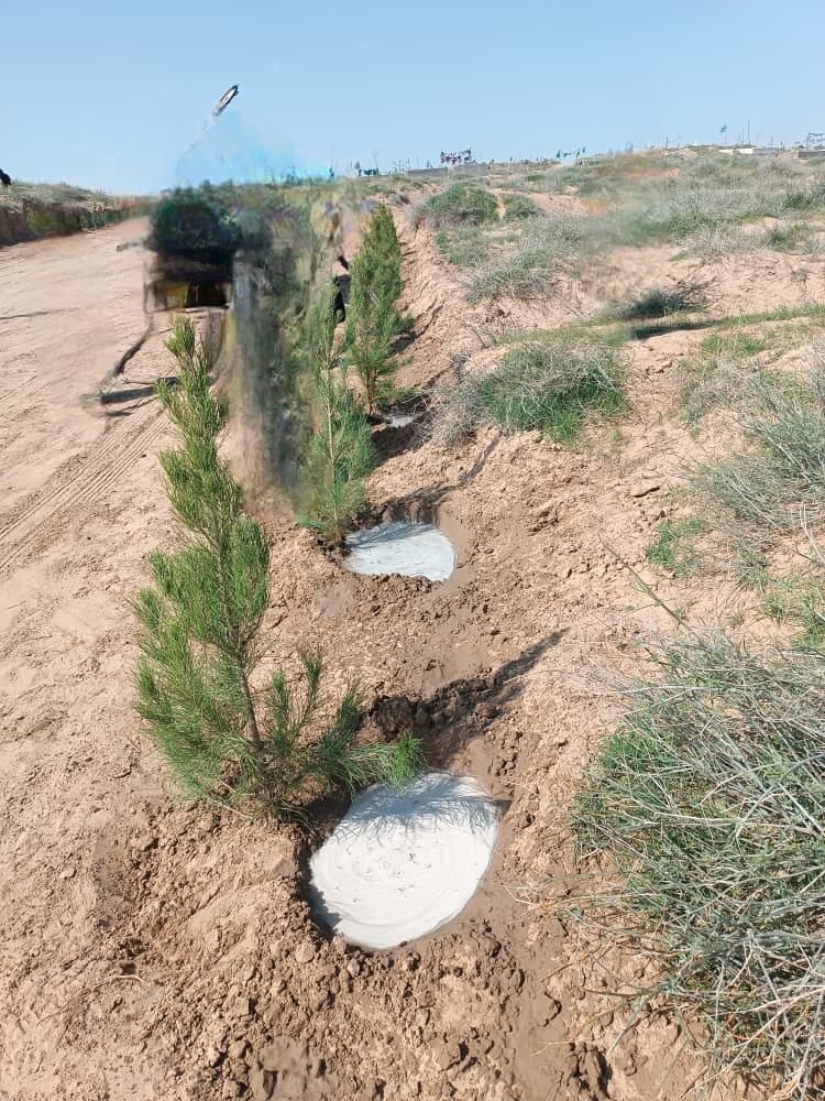 دفتر مطبوعاتی مقام ولایت هرات tweet media