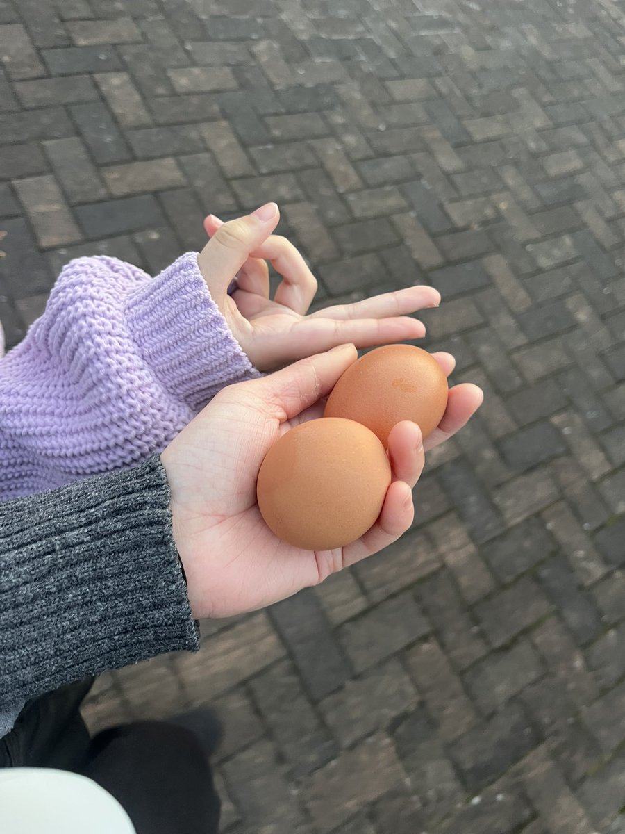 藤 桃子 tweet media
