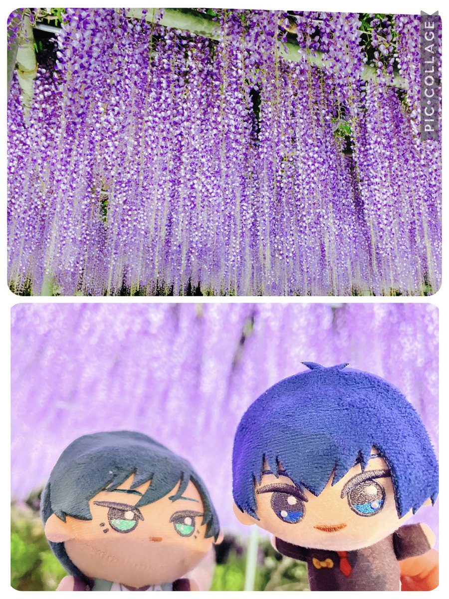 ゆくえ tweet media