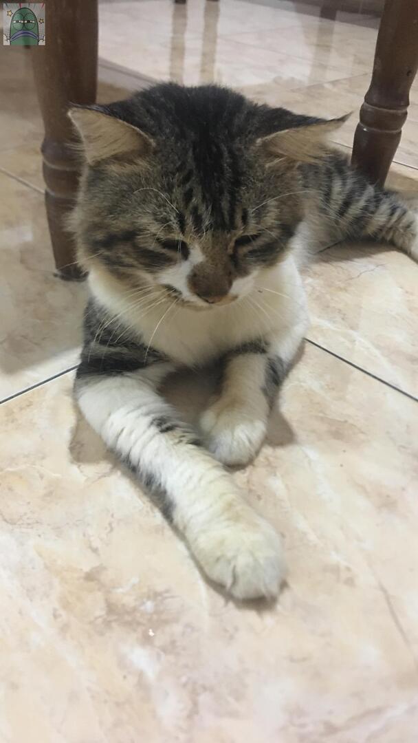 Tanyarlfes tweet media