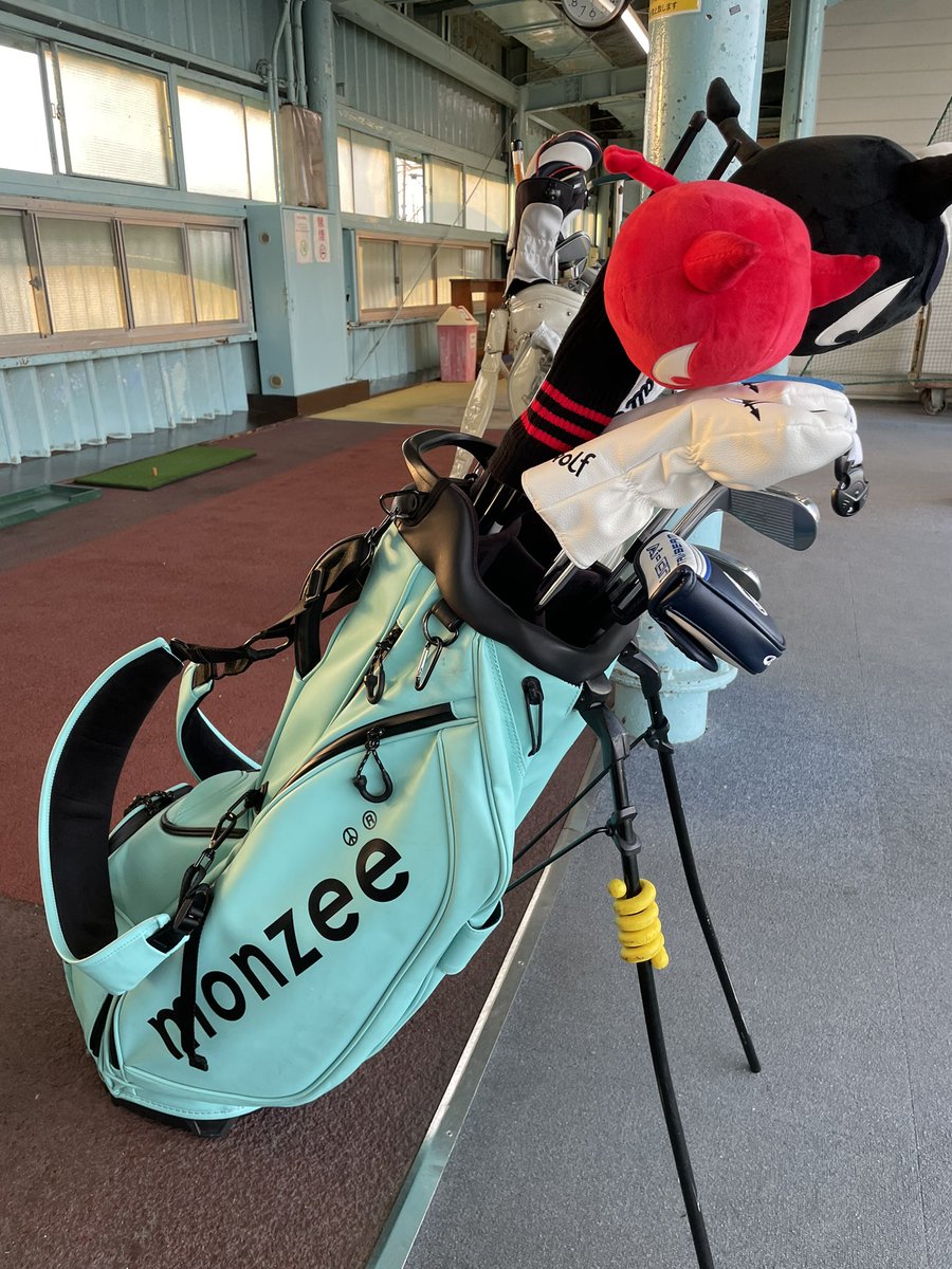 チョコボール向井🏌️♂️ tweet media
