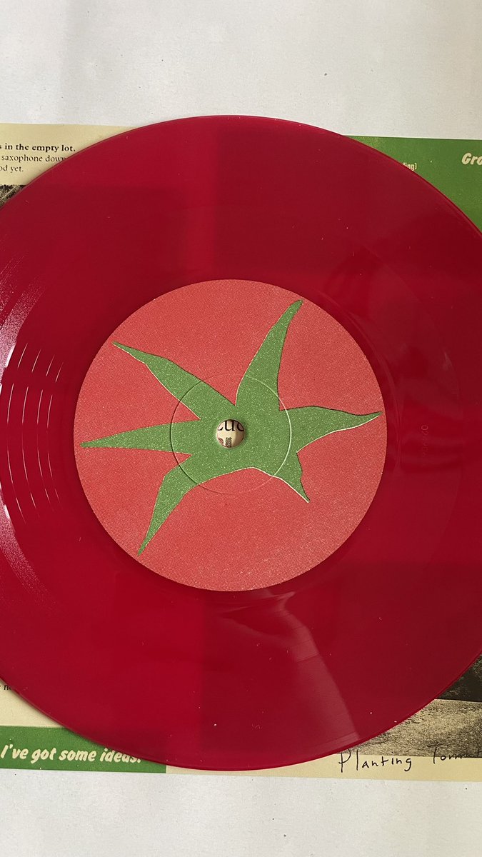 lis 🍅 tweet media