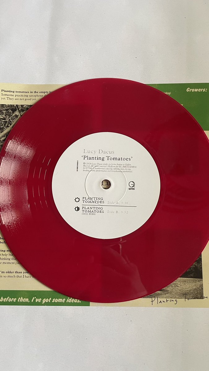 lis 🍅 tweet media