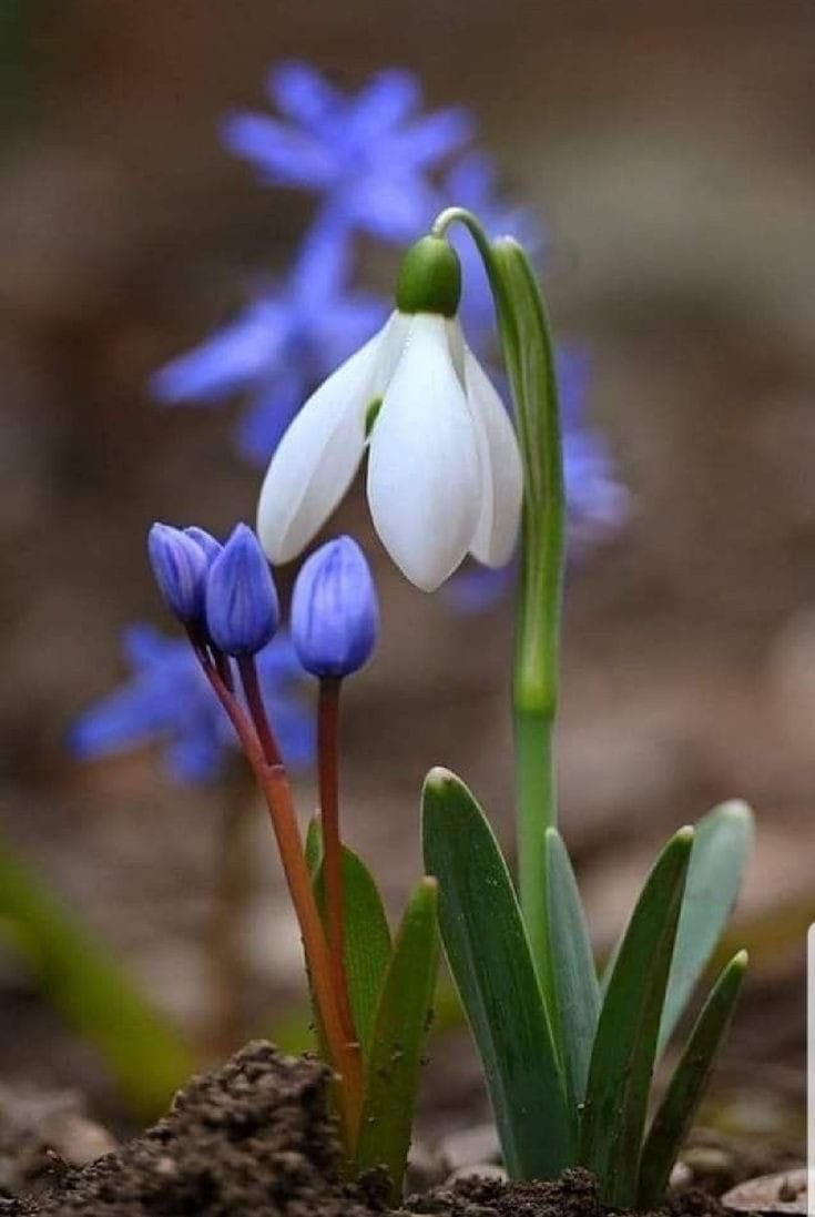 OYadaa's tweet image. Оройн мэндээ Х үүд
Good evening everyone 
Үдшийг сайхан өнгөрүүлээрэй 
#relax #goodnight