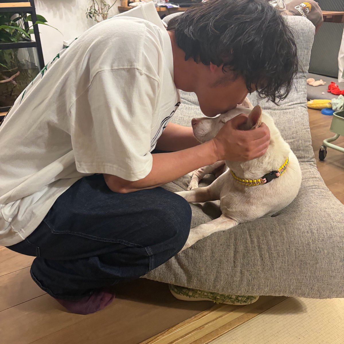 プケ&マイキード🇹🇭 tweet media