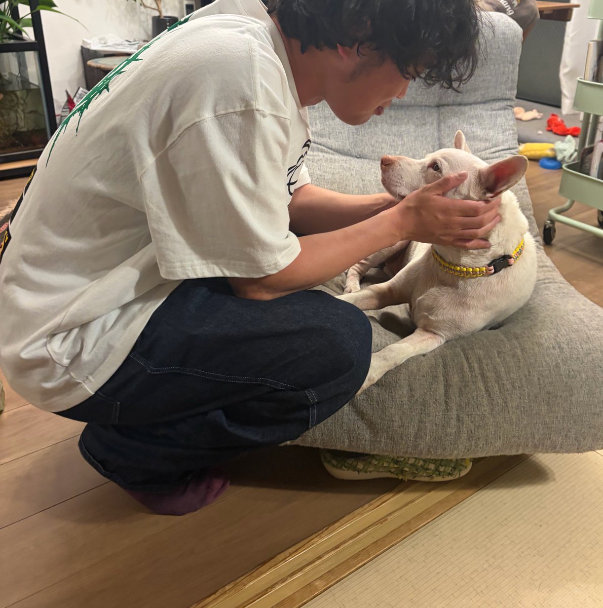 プケ&マイキード🇹🇭 tweet media