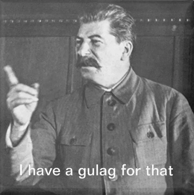 Gorila Occidental tweet media