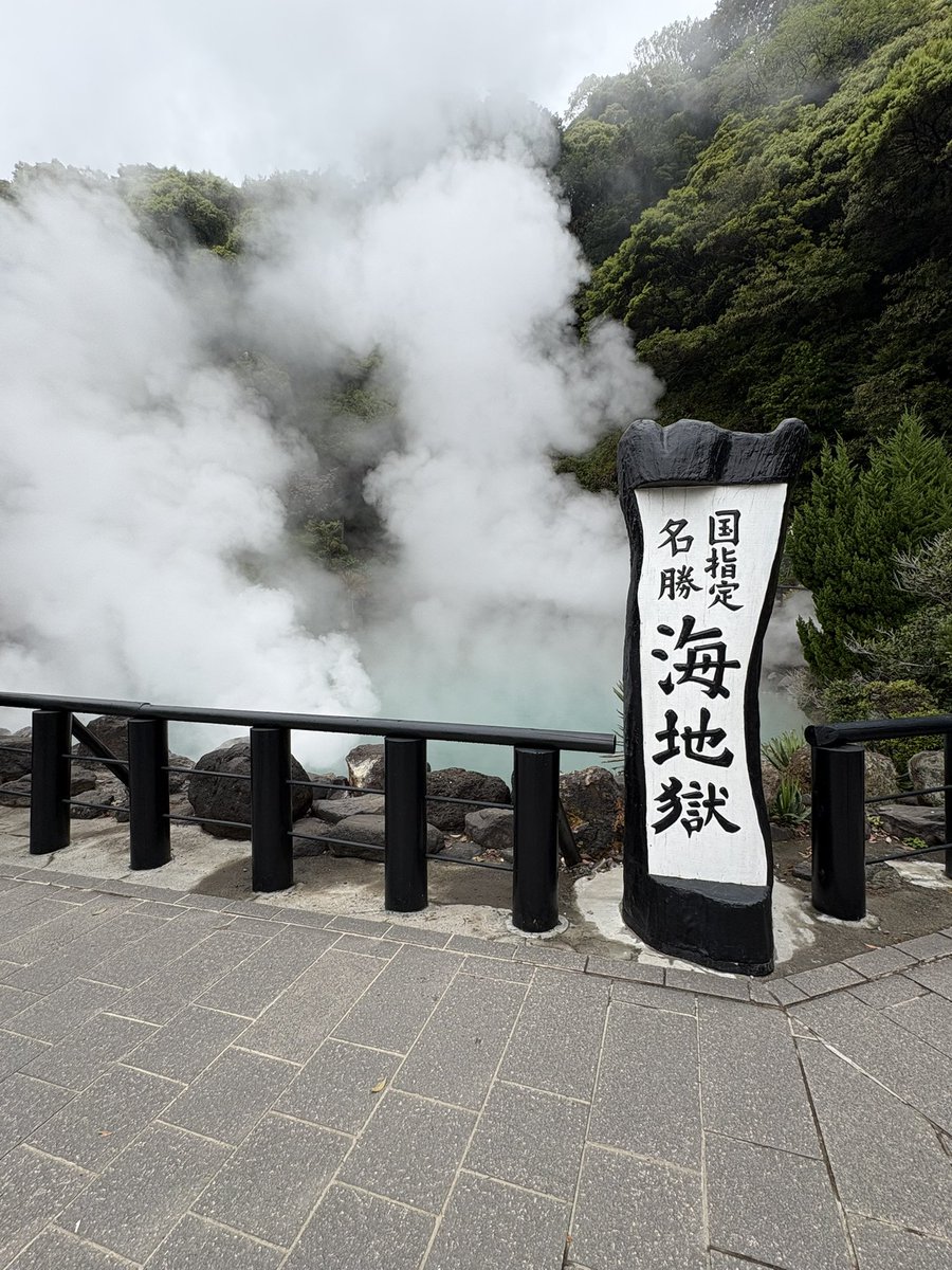 しゅが〜@ゆるく生きたい tweet media