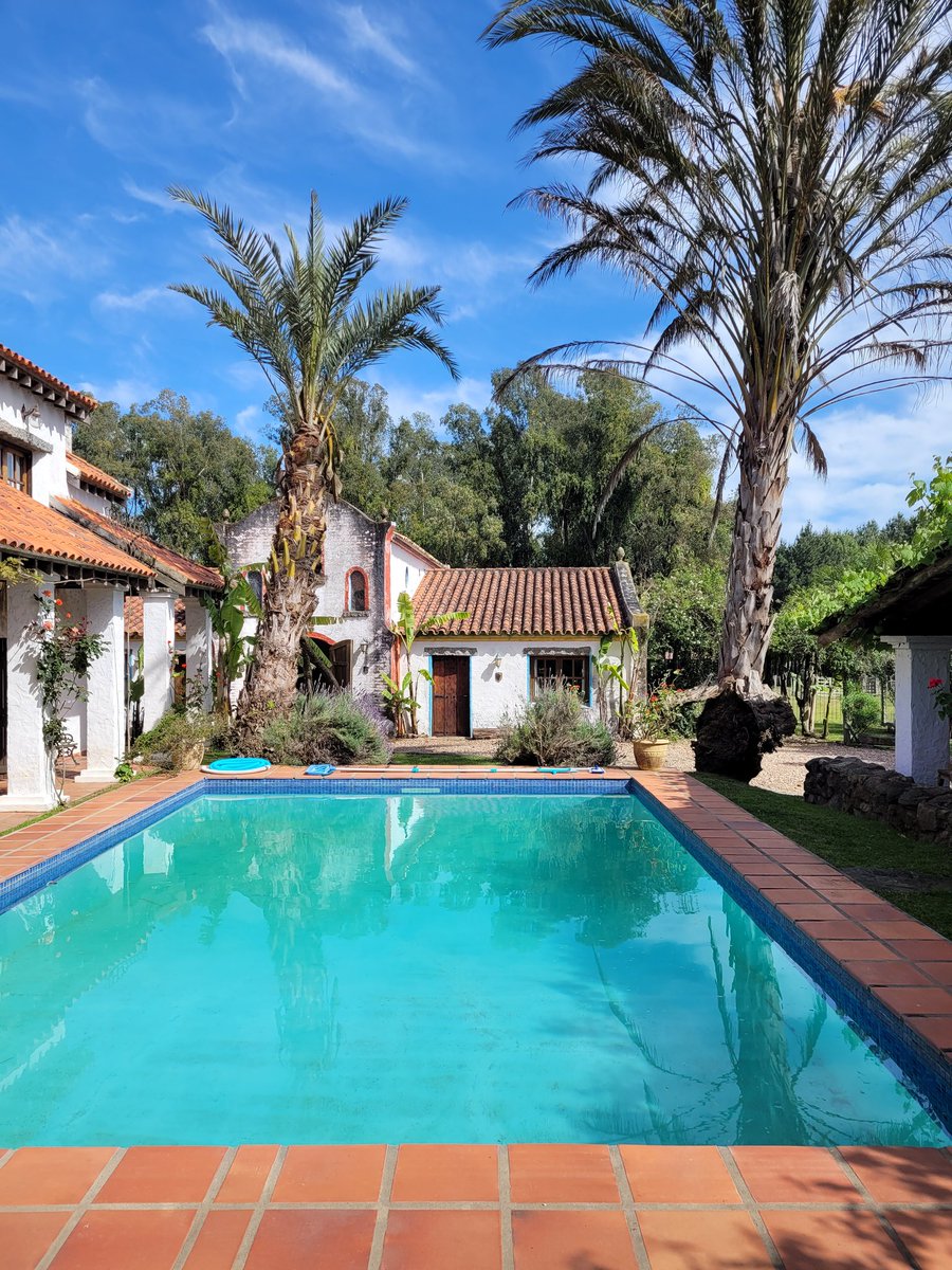 CIUDADANOJorgeCASTRO tweet media