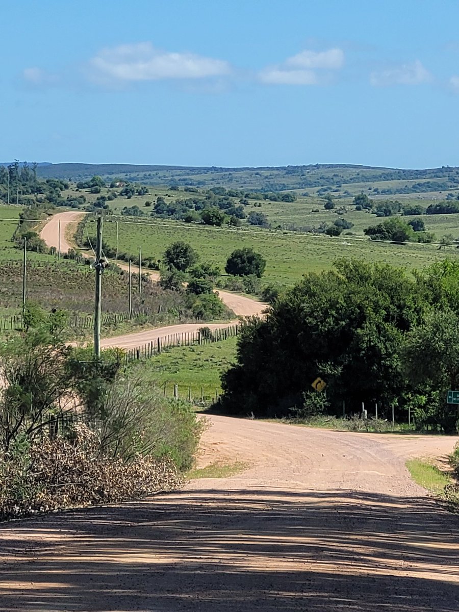 CIUDADANOJorgeCASTRO tweet media