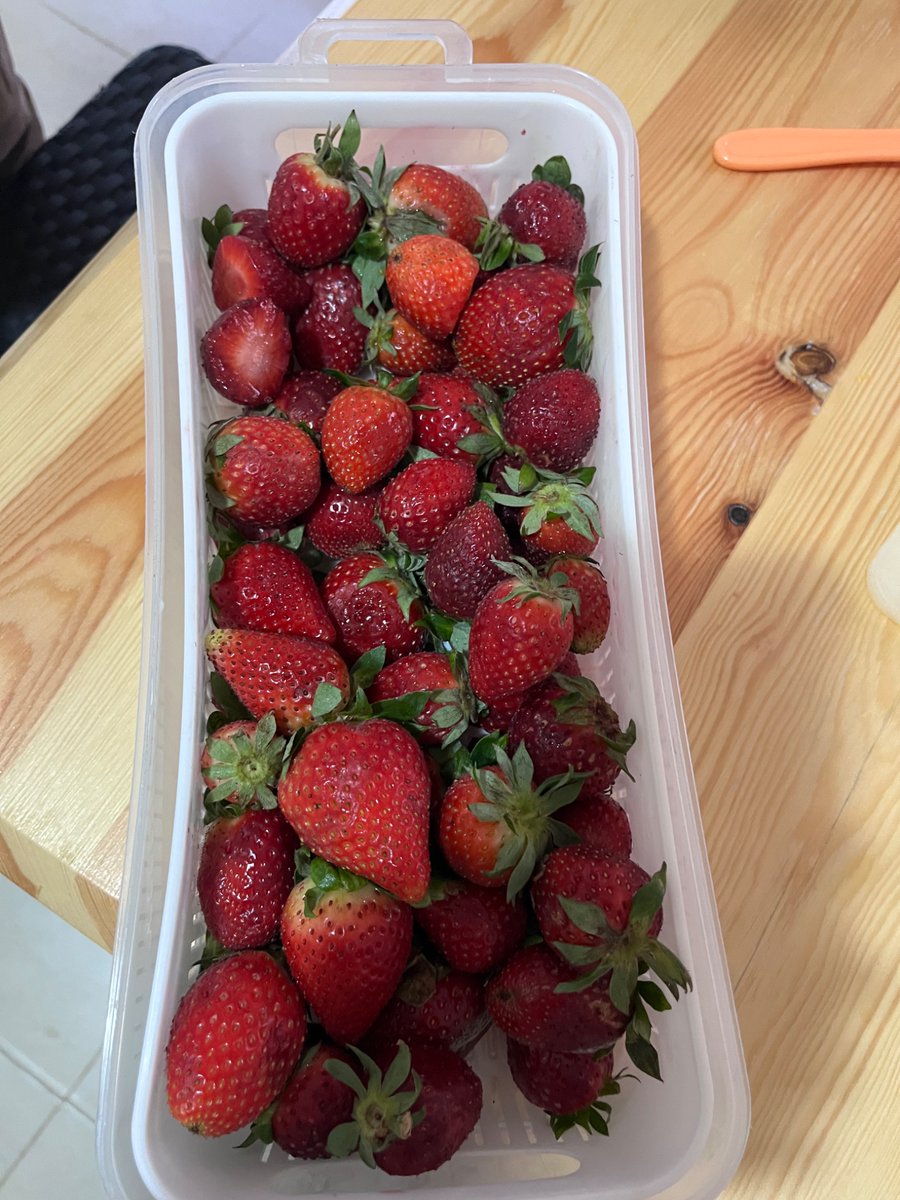 Par contre j’ai acheté 1 kilos de de fraise 260 da …. Ya rien a comprendre lol