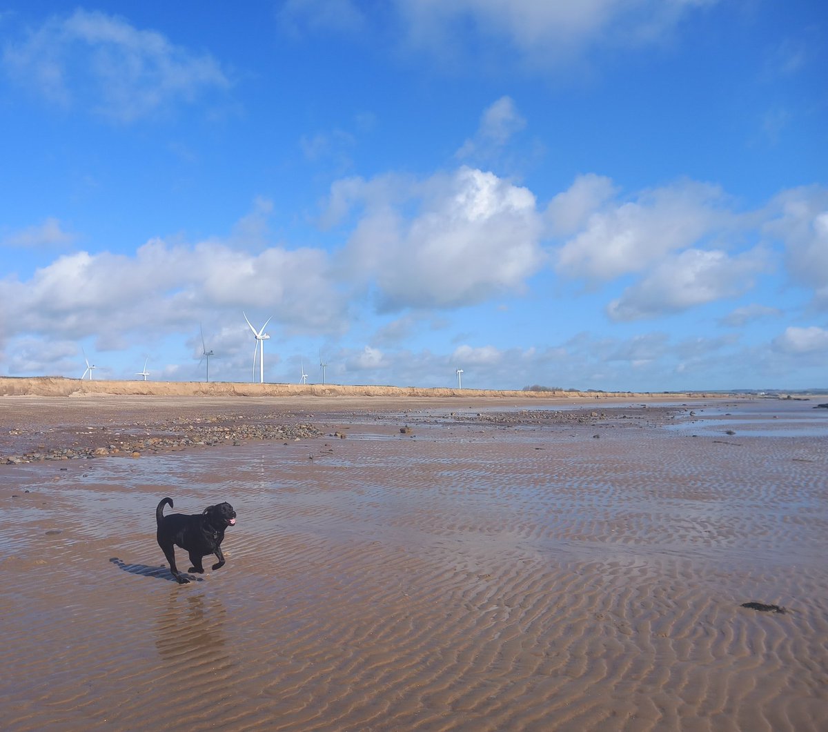 YorksSaltMaiden's tweet photo. A beautiful morning for water collection

#yorkshiresaltmaiden #yorkshirecoast #saltydog https://t.co/VwtcgpyLXs