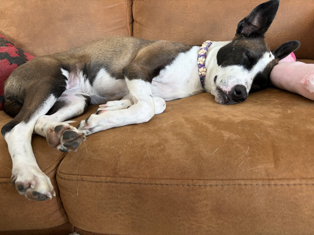 プケ&マイキード🇹🇭 tweet media