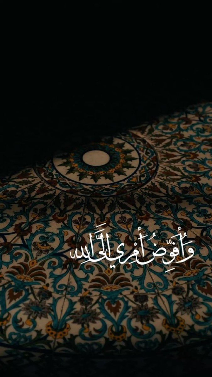 حكمة tweet media